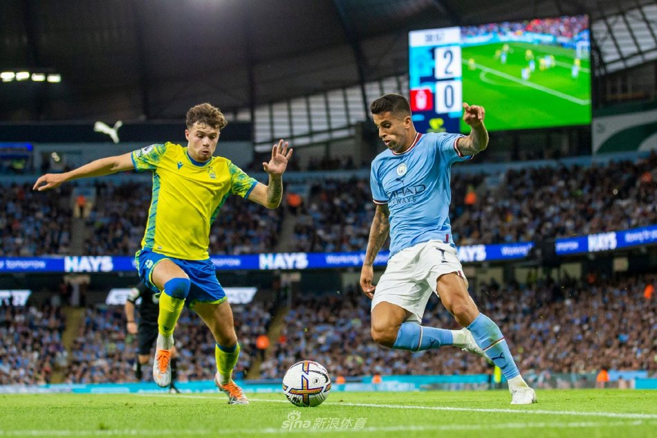 育运动的热 育运动的热